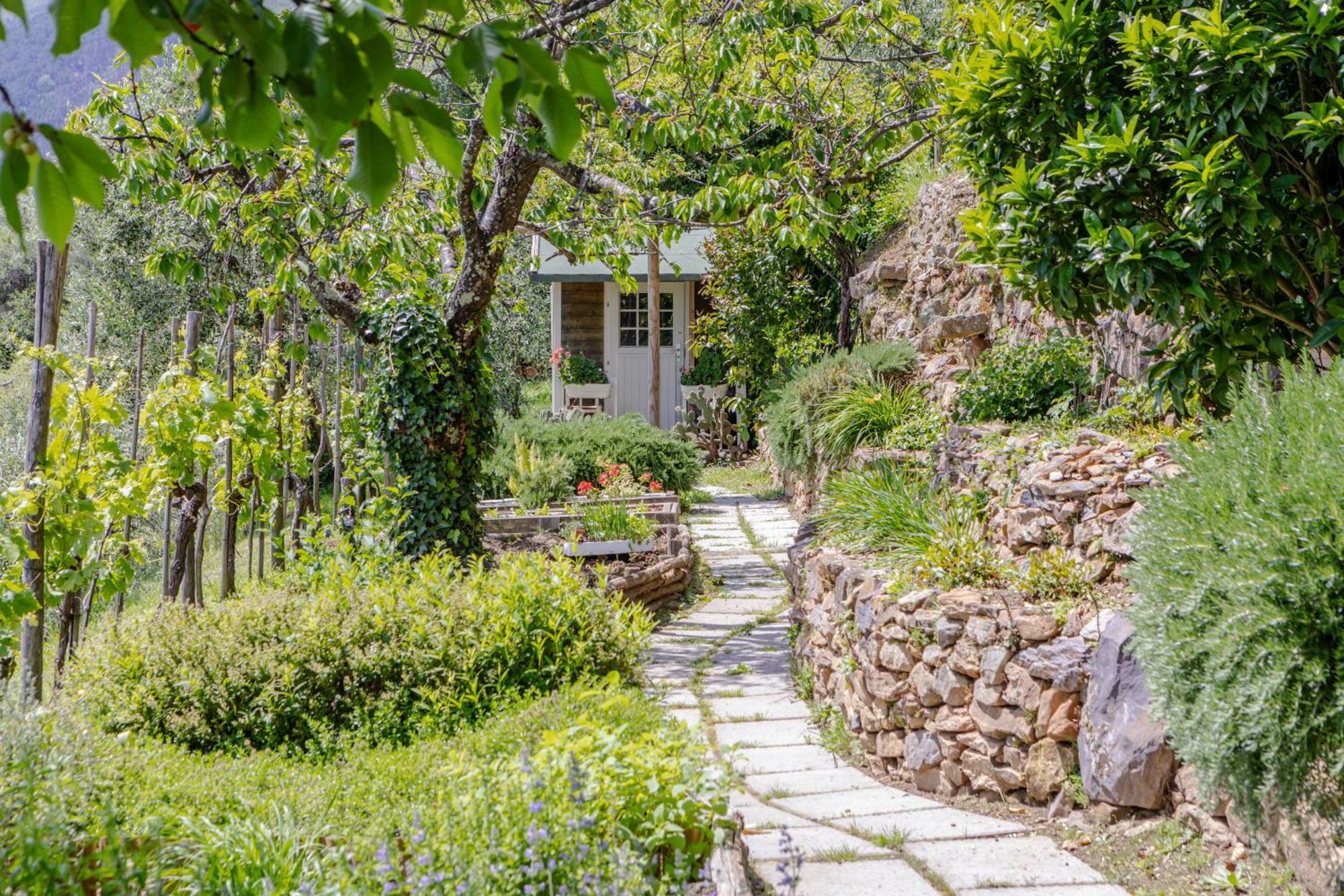 Villa Sii Felice Buti Luaran gambar